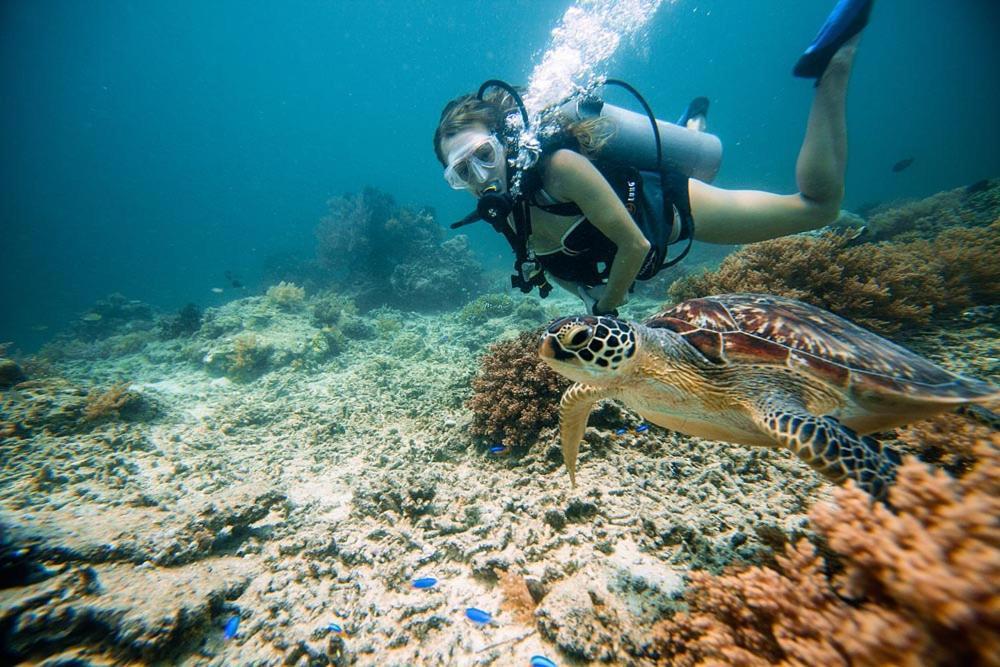 Cape Rose2 Hotel Gili Trawangan Bagian luar foto